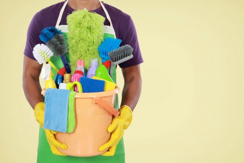 Professional carpet cleaning in a Turnpike Lane home