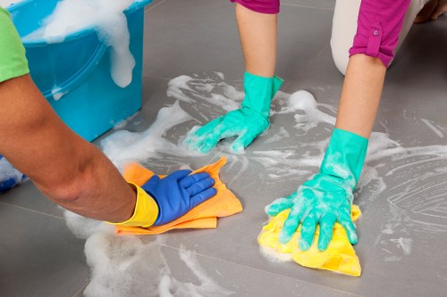 Deep cleaning carpet treatment for pet urine odour in Turnpike Lane