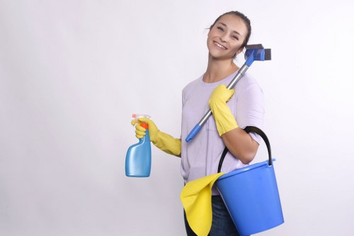 Professional carpet cleaner completing a safe and controlled final check