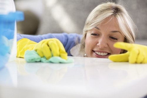 Step-by-step professional stain removal process
