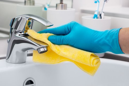 Deep carpet cleaning equipment in Turnpike Lane
