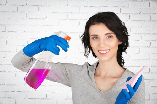 Deep carpet cleaning process in a Turnpike Lane property