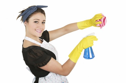 Deep carpet cleaning process showing fabric care and stain treatment in a local home